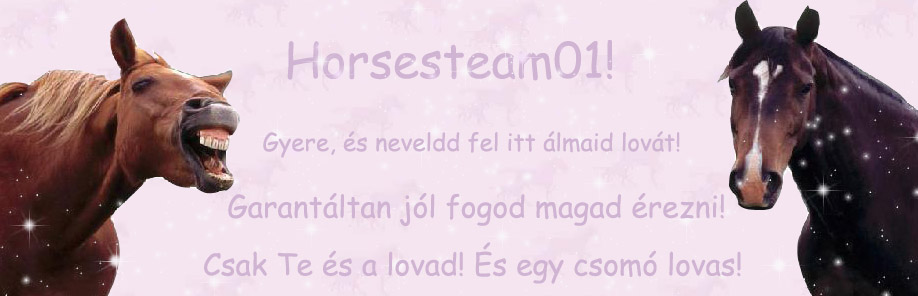 Horsesteam01 - Garantált a szórakozás